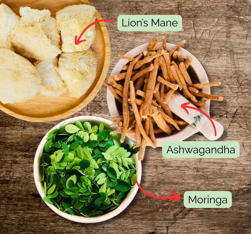 Adaptogen ingredients Lion’s Mane, Ashwagandha, and Moringa for Moxie Dust