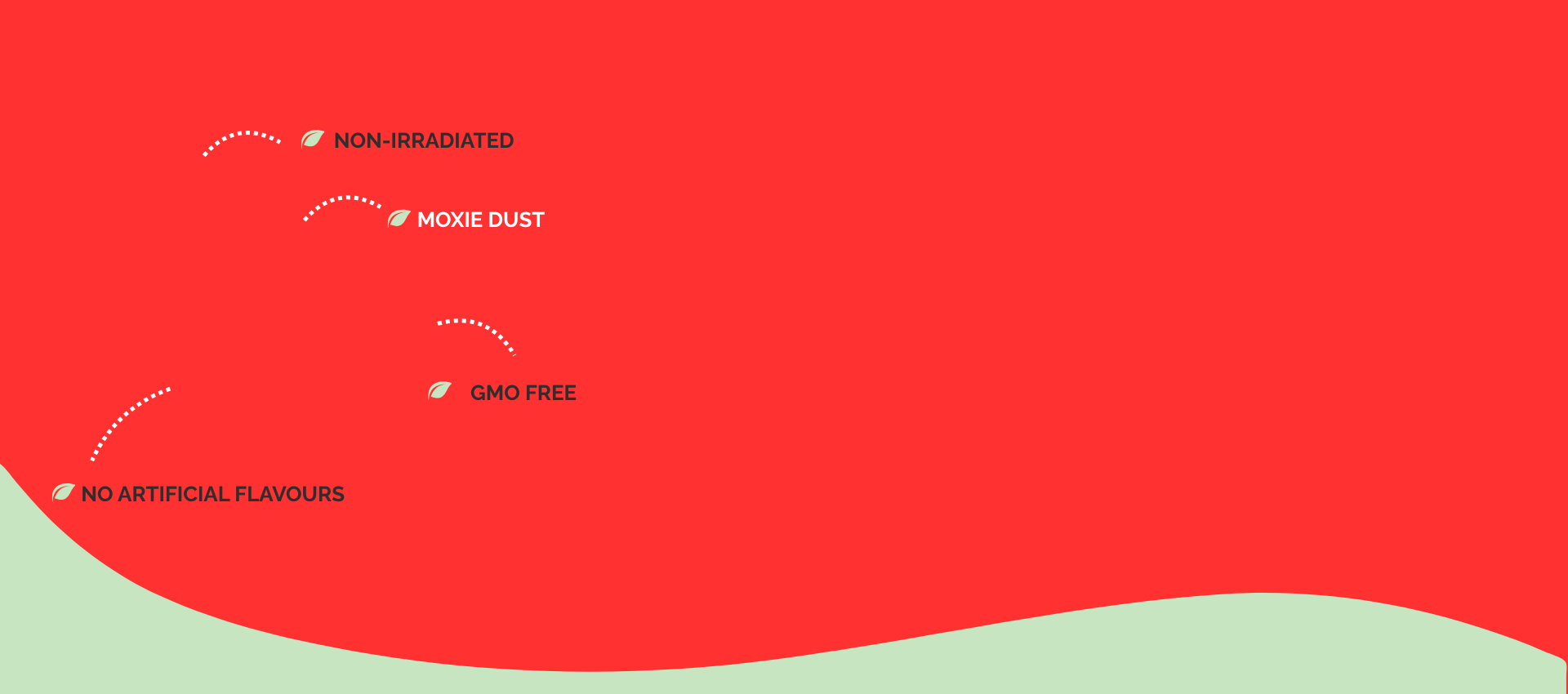 Moxie Green Goddess seasoning jar on red background highlighting flavour with benefits