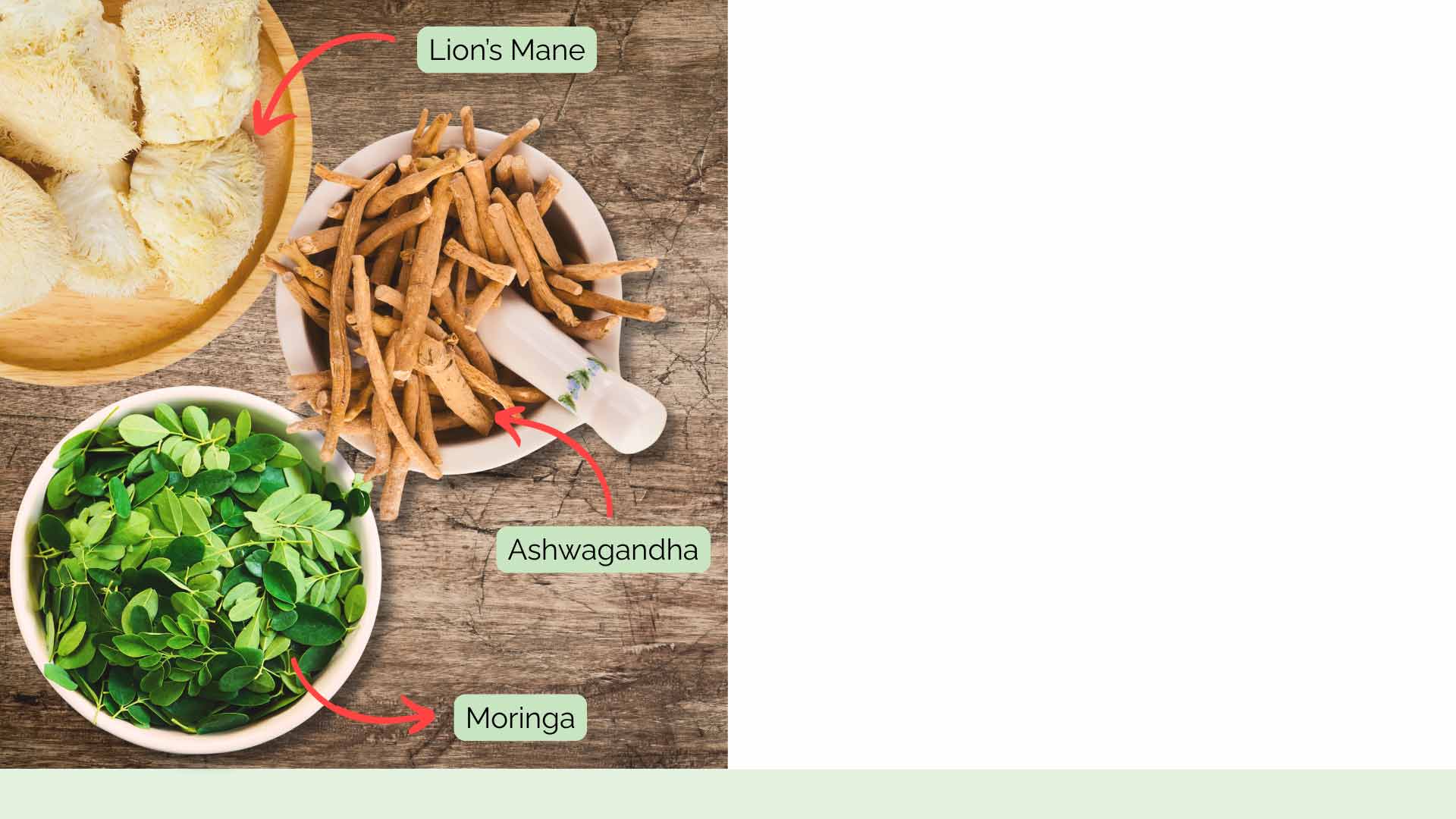 Lion’s Mane mushroom adaptogen for cognitive clarity in Moxie Dust blend