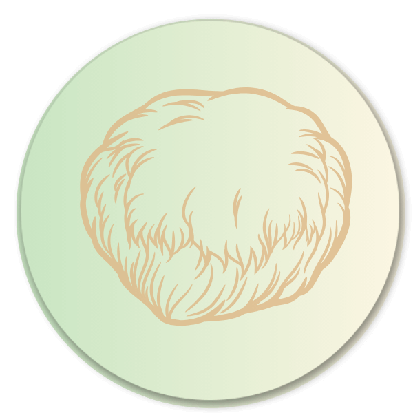 Lion’s Mane adaptogen icon – promotes balance and clarity