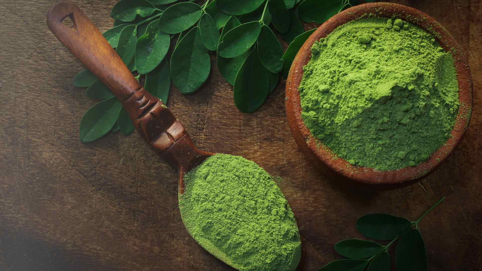 Green moringa and adaptogen powder in wooden spoon – Moxie Dust wellness seasoning