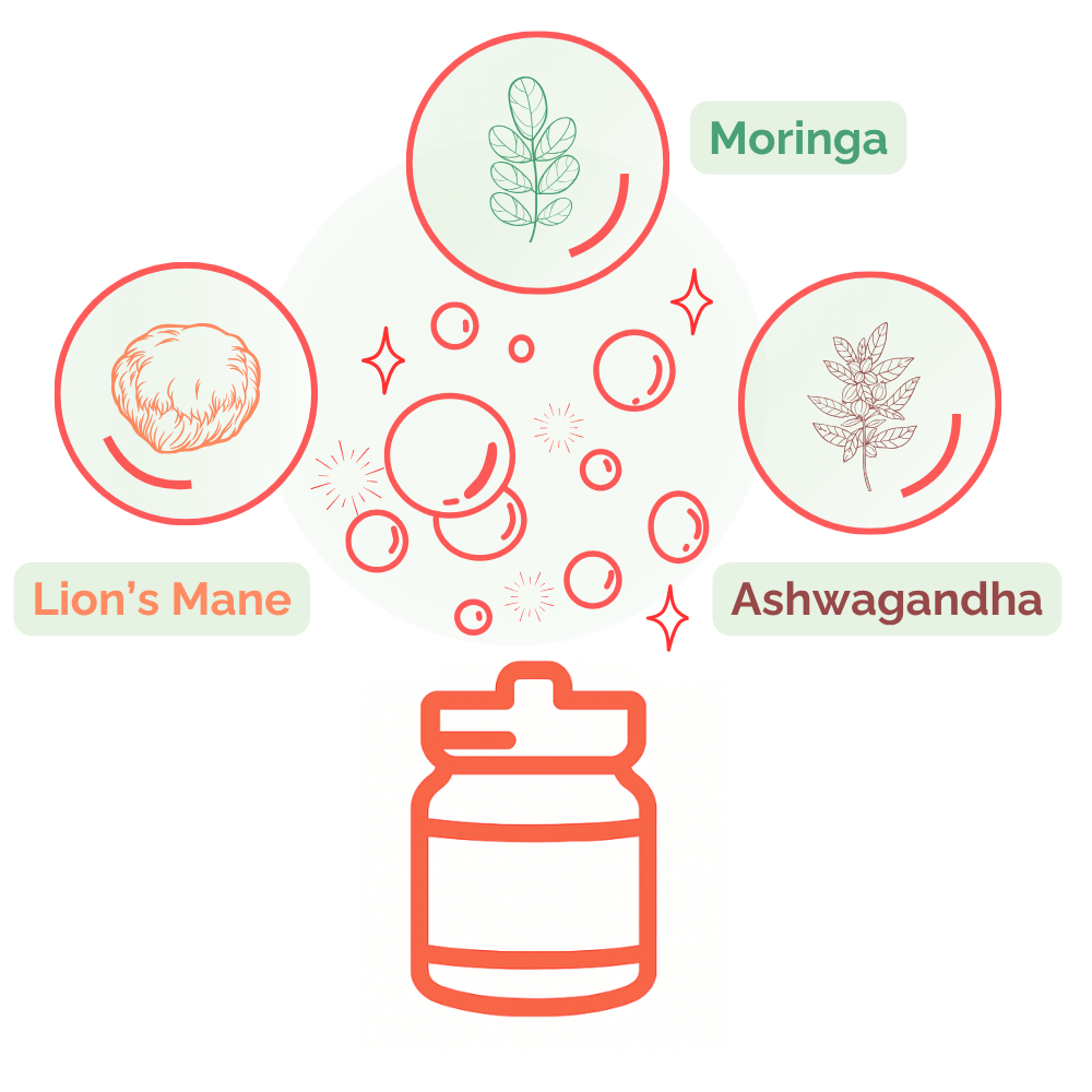 Illustration showing Moxie Dust superfoods Lion’s Mane, Ashwagandha and Moringa